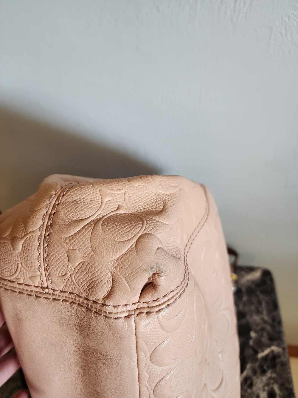 Coach Lexy Shoulder Bag In Nude Pink With Puffed Monogram - Picture 8 of 15